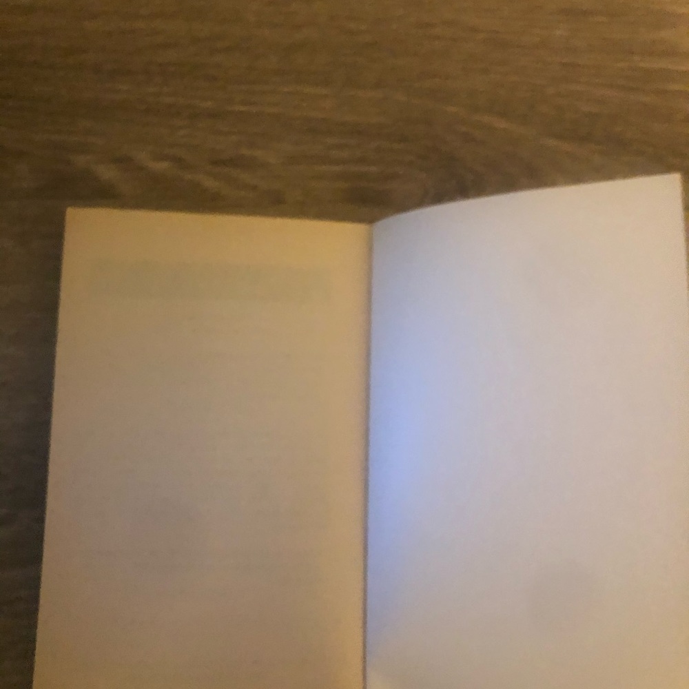 A Raisin In The Sun Book - Picture 4 of 4